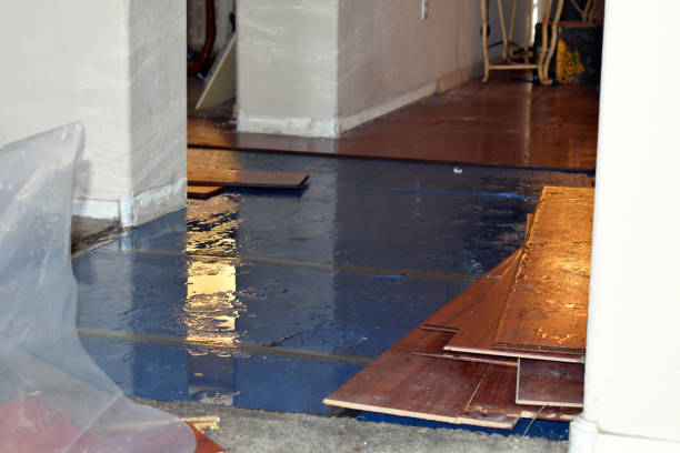Professional Flood Cleanup technician working in Weymouth, MA